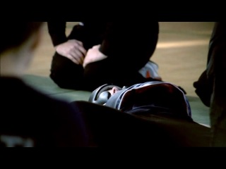 Телохранители (Дания)