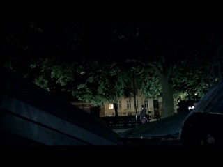 Телохранители (Дания)