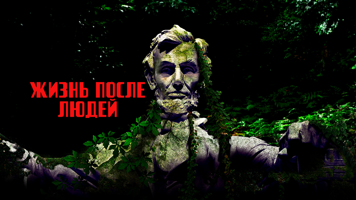 Жизнь после людей