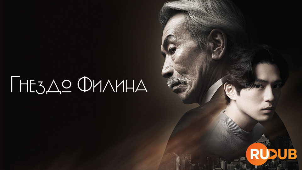 Гнездо филина