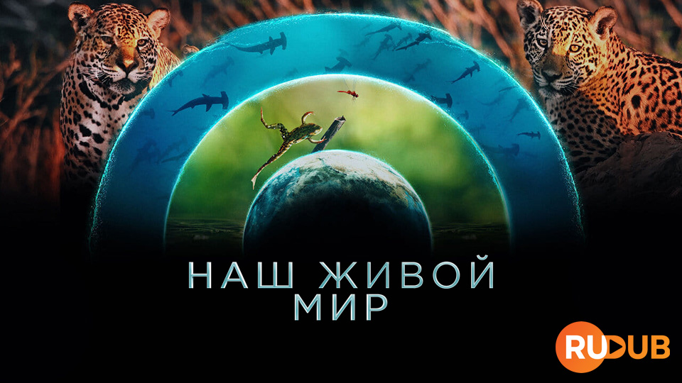 Наш живой мир