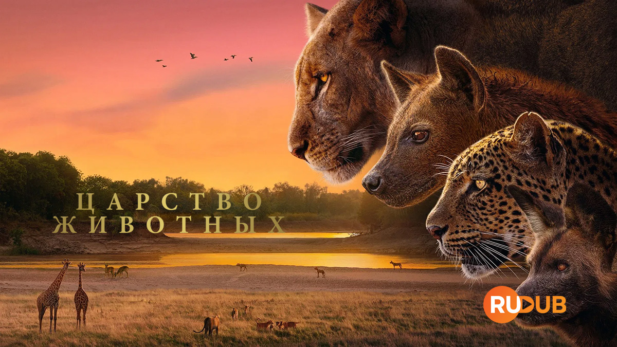 Царство животных