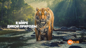 player-The-Wild-Ones-S1
